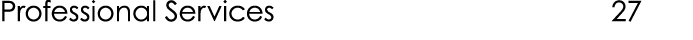 Professional Services 27