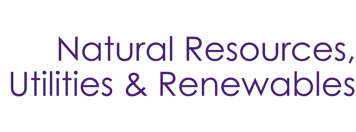 Natural Resources, Utilities & Renewables