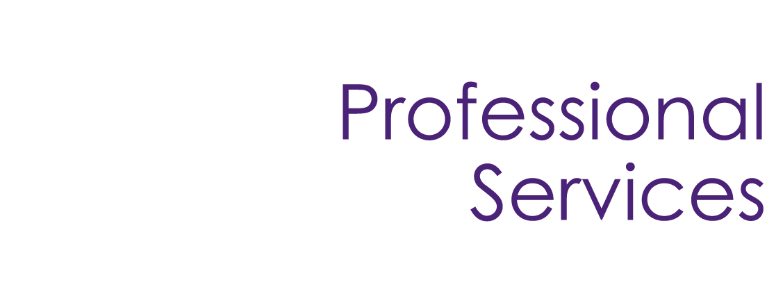 Professional Services